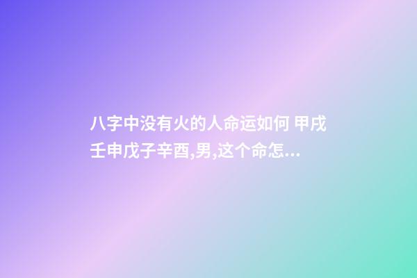 八字中没有火的人命运如何 甲戌壬申戊子辛酉,男,这个命怎么样,帮忙分析一下,谢谢、-第1张-观点-玄机派